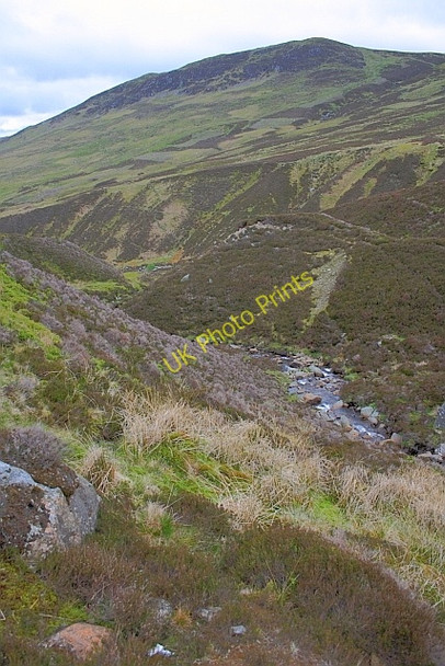 Photo 6"x4" Tributary of Invergeldie Burn Invergeldie c2011