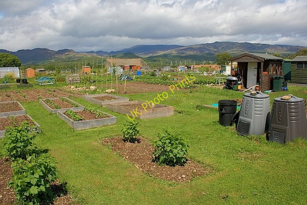 Photo 6"x4" Allotments, Cultybraggan Camp Cultybraggan c2011