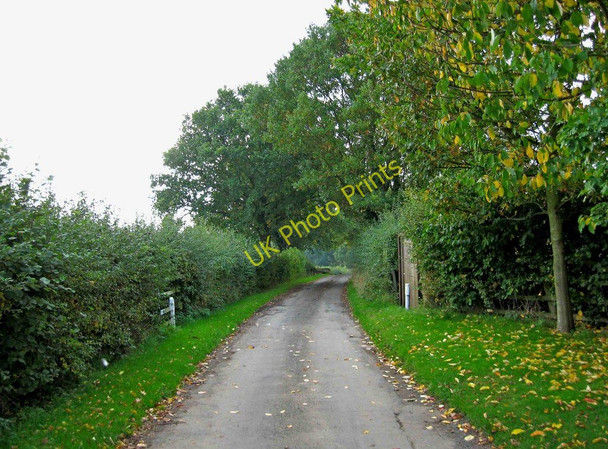Photo 6"x4" Button Bridge Lane near Coppicegate Coppicegate c2010
