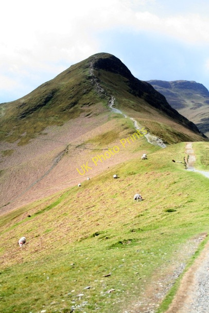 Photo 6"x4" Cat Bells Little Town\/NY2319 c2008