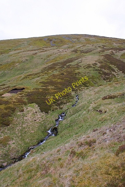 Photo 6"x4" Stream by the Ben Chonzie track Invergeldie c2011