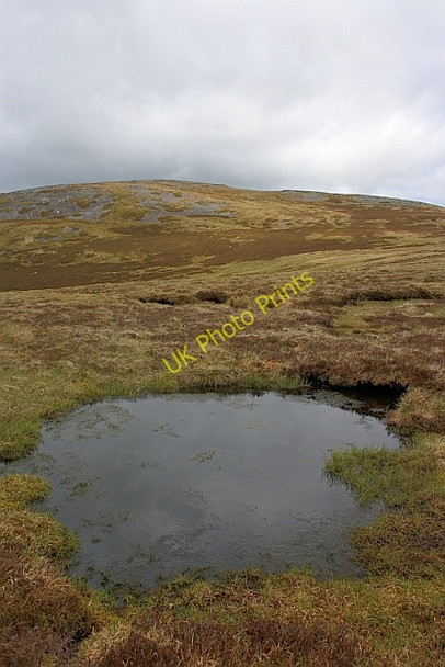 Photo 6"x4" Pond, 800m height Ben Chonzie Invergeldie c2011