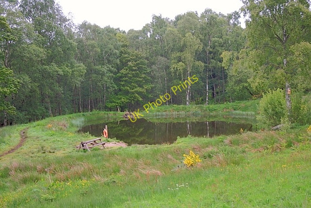 Photo 6"x4" Pond near Comrie Croft Fordie\/NN7922 c2011