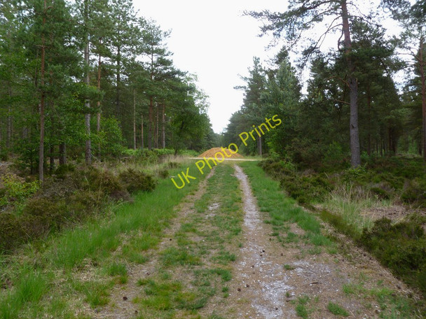 Photo 6"x4" Ashley Heath, track junction Ashley Heath\/SU1104 c2011