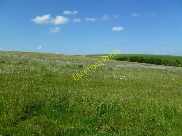 Photo 6"x4" West Kennet, downland East Kennett c2011