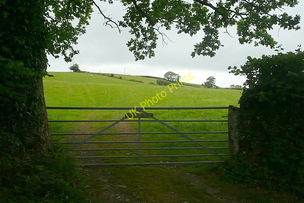 Photo 6"x4" West Devon Way Tavistock c2011