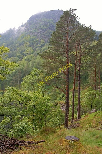 Photo 6"x4" Raven Crag Legburthwaite c2011