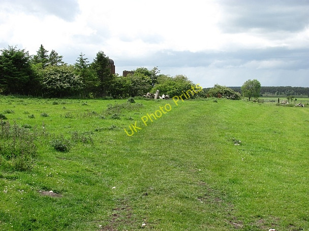 Photo 6"x4" Grassed over road, Barmoor Lowick\/NU0139 c2011