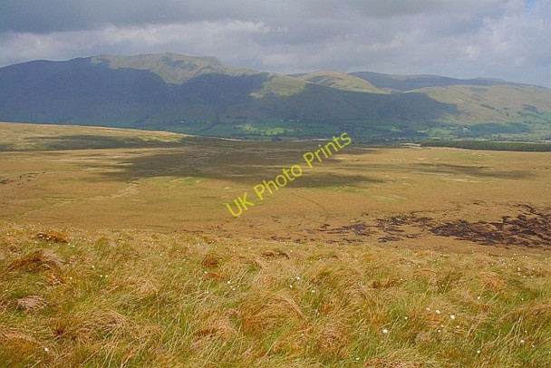 Photo 6"x4" Sandbeds Moss High Row\/NY3721 c2011