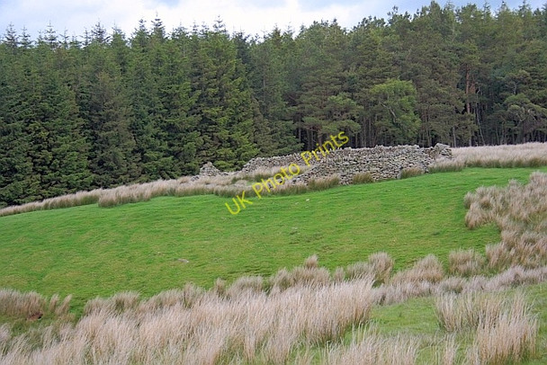 Photo 6"x4" Disused Sheep Fold Scales\/NY3426 c2011