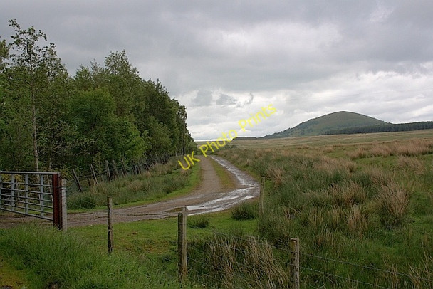 Photo 6"x4" Track Alongside the Old Railway Scales\/NY3426 c2011