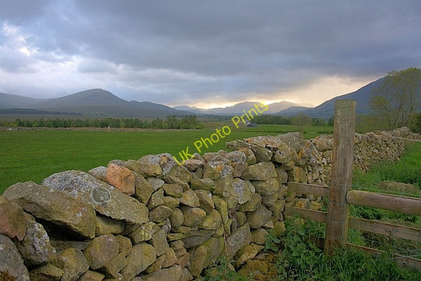 Photo 6"x4" Stone Wall near Gill Head Farm Scales\/NY3426 c2011