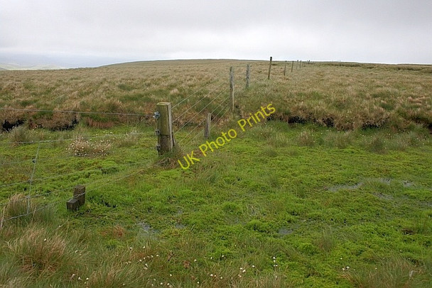 Photo 6"x4" Fence Post in a Bog Great Grassoms c2011
