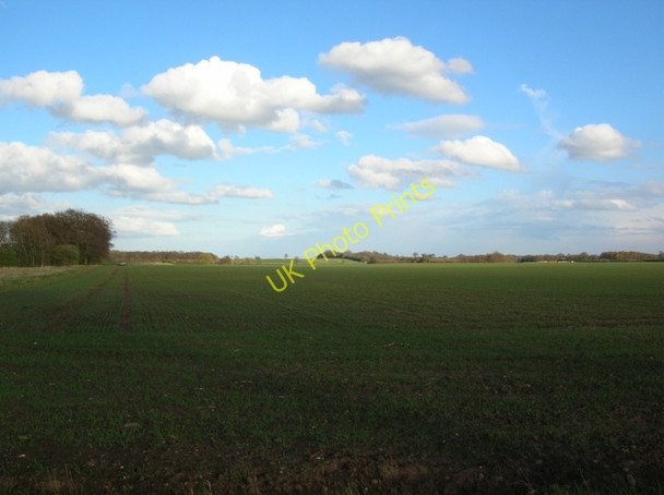 Photo 6"x4" Across Sand Hutton Common Moor End\/SE6656 c2008