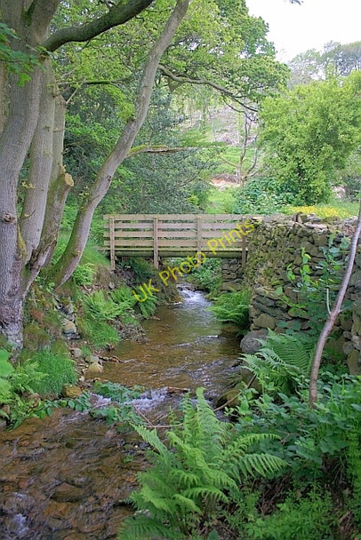 Photo 6"x4" Whitecombe Beck Dunningwell c2011