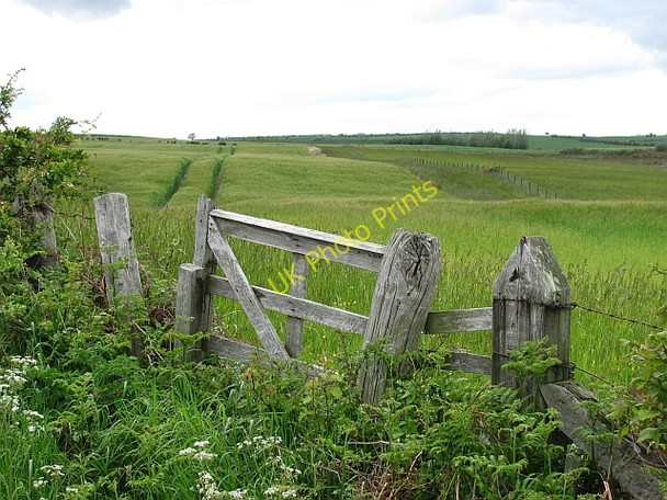 Photo 6"x4" Old gate, Ancroft Northmoor Ancroft Northmoor c2011