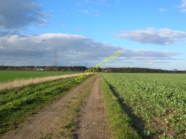 Photo 6"x4" Track across Sand Hutton Common Moor End\/SE6656 c2008