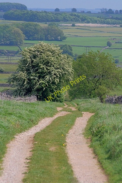 Photo 6"x4" Hutmoor Butts Flagg c2011