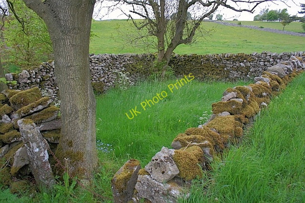 Photo 6"x4" Monyash Pinfold Monyash c2011