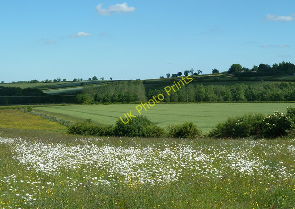 Photo 6"x4" Fields east of Barlow Barlow\/SK3474 c2011