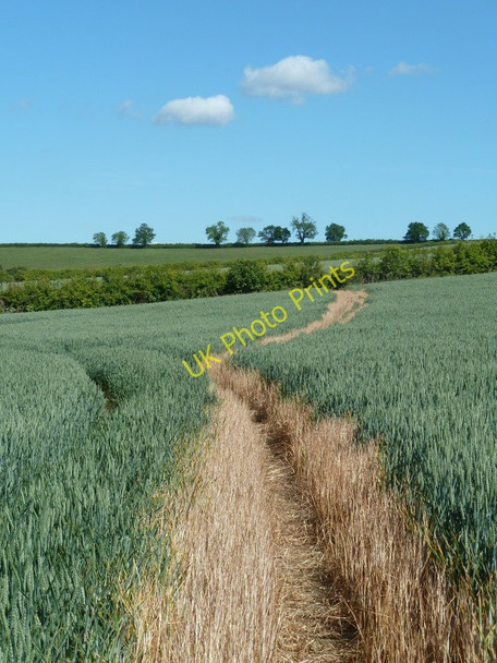 Photo 6"x4" Footpath near Dunston Hole Farm Barlow\/SK3474 c2011