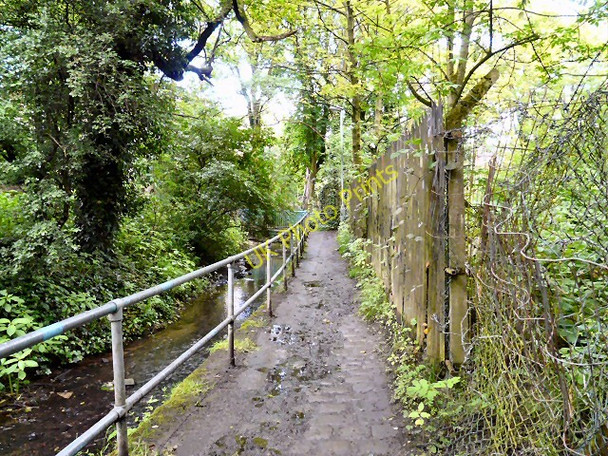 Photo 6"x4" Footpath by Godley Brook Hyde\/SJ9494 c2011