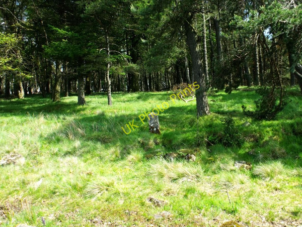 Photo 6"x4" Hillend Reservoir, marker stone No. 51 Forrestfield c2011