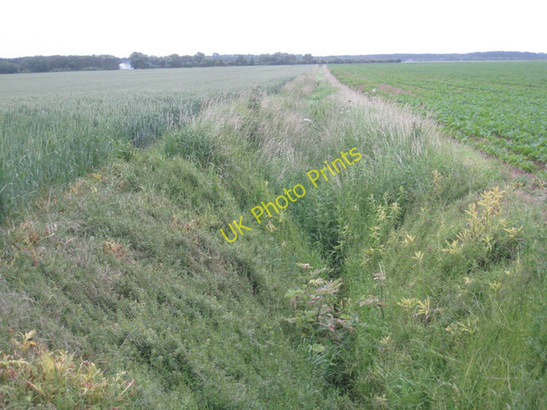 Photo 6"x4" Overgrown drain, East Ferry South Carr East Ferry c2011