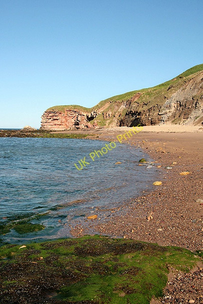 Photo 6"x4" The East Lothian coastline Thorntonloch c2011
