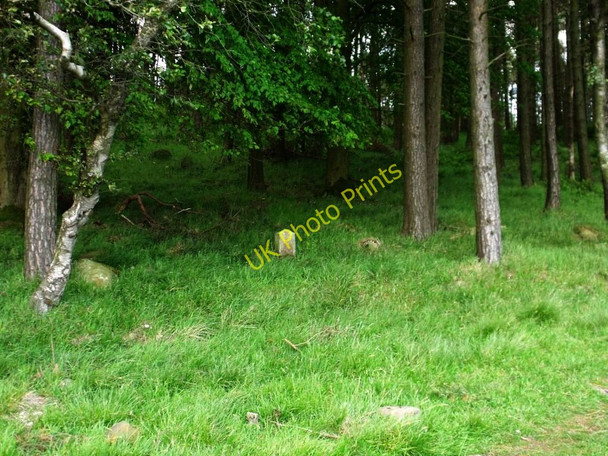 Photo 6"x4" Hillend Reservoir, marker stone No. 65 Forrestfield c2011