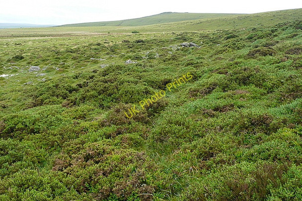 Photo 6"x4" Moorland above Braddon Lake Postbridge c2011