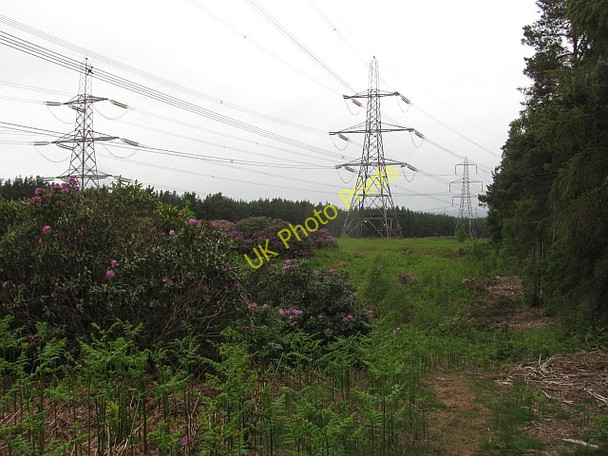 Photo 6"x4" Power lines, Devilla Forest Kincardine\/NS9387 c2011