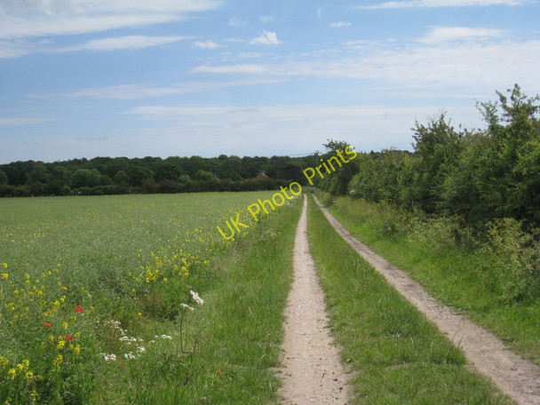 Photo 6"x4" Track and footpath to Barnby Barnby in the Willows c2011