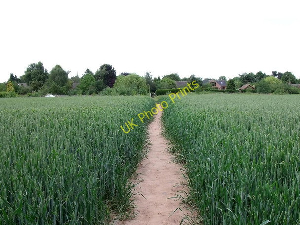 Photo 6"x4" Footpath to Repton Repton c2011