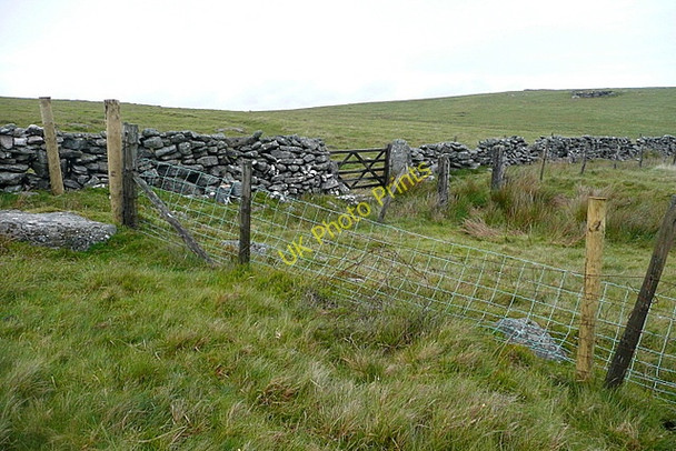 Photo 6"x4" Entrance to Broad Down Postbridge c2011