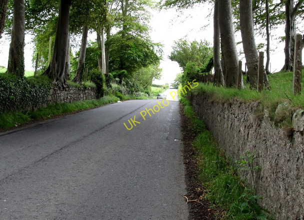 Photo 6"x4" View east up Bishops Brae Downpatrick c2011