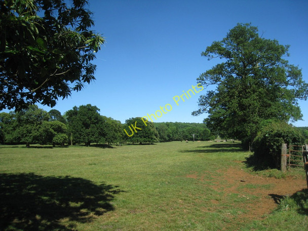 Photo 6"x4" Parkland near Fulbeck Hall Fulbeck\/SK9450 c2011