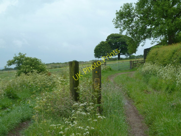 Photo 6"x4" Footpath between Hallcliff Farm and Over Wood Wadshelf c2011