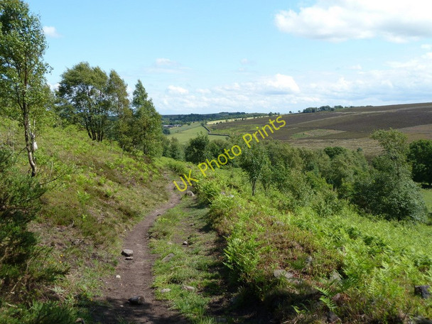 Photo 6"x4" Footpath descending from Longside Moor Upper Loads c2011