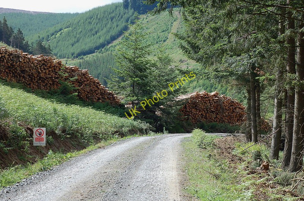Photo 6"x4" Timber stacks near Glenbenna West Bold c2011