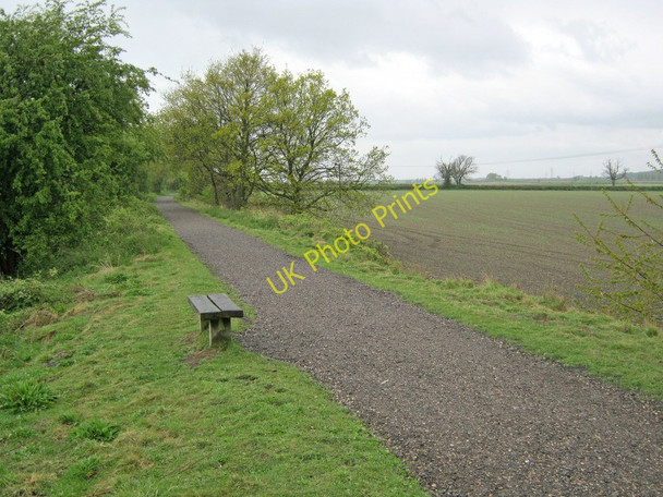 Photo 6"x4" Bench on the Southwell Trail Edingley c2010