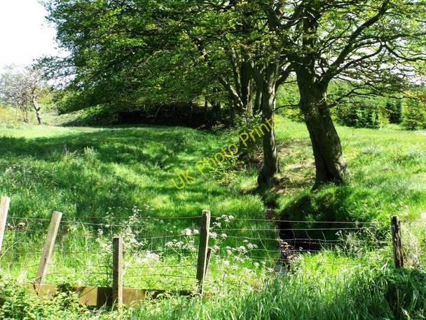 Photo 6"x4" Luggie Water tributary Greengairs c2011