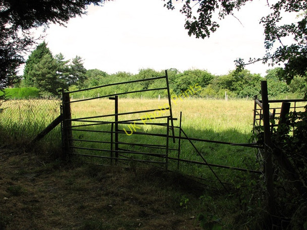 Photo 6"x4" Pasture north of St Mary's church, Sweffling Sweffling c2011