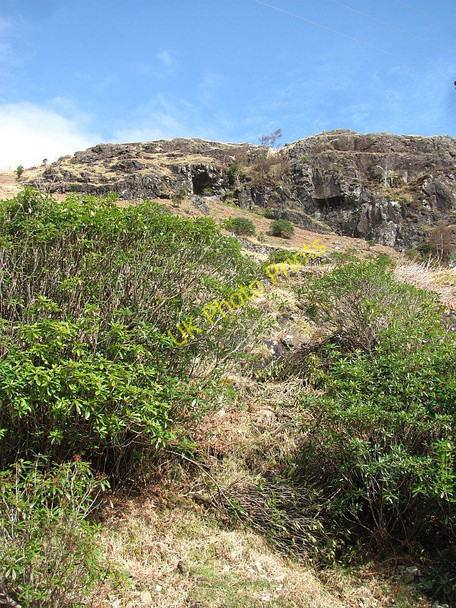 Photo 6"x4" Crags above Loch Uisg Lochbuie\/NM6125 c2011