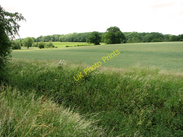 Photo 6"x4" Cultivated fields south of Botany Lane, Little Glemham Statford St Andrew c2011