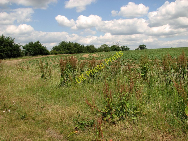 Photo 6"x4" A field's edge south of Botany Lane, Little Glemham Little Glemham c2011