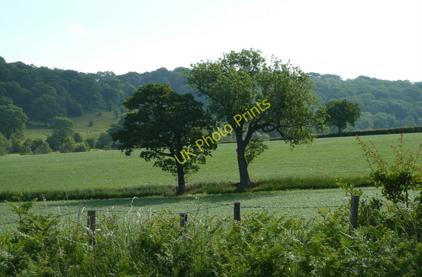 Photo 6"x4" View across fields from Stanley Lane Stanley\/SK4562 c2011