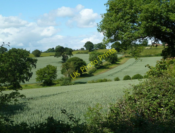 Photo 6"x4" Fields below Hardstoft Hardstoft c2011