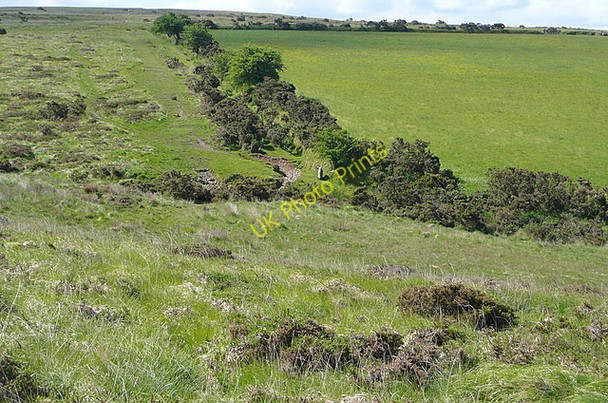 Photo 6"x4" Access land near Willsworthy Camp Lydford c2011