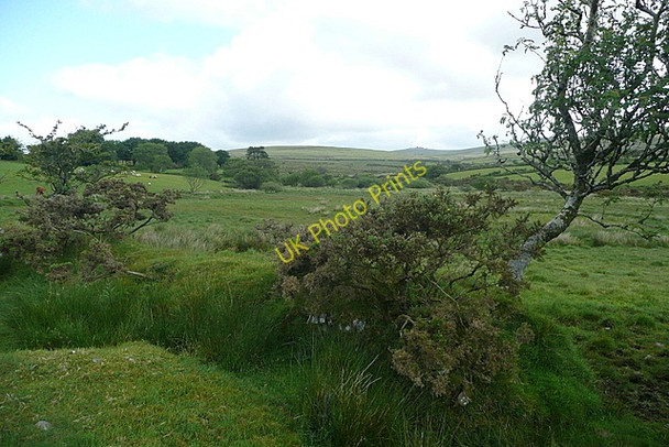 Photo 6"x4" Land near Willsworthy Brook Horndon c2011